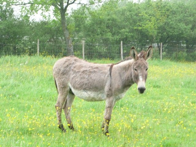 nettoyage mai 2012 (8).jpg